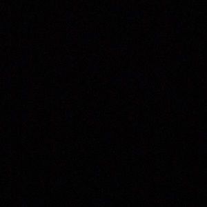 Meet your Posher, Bonnie